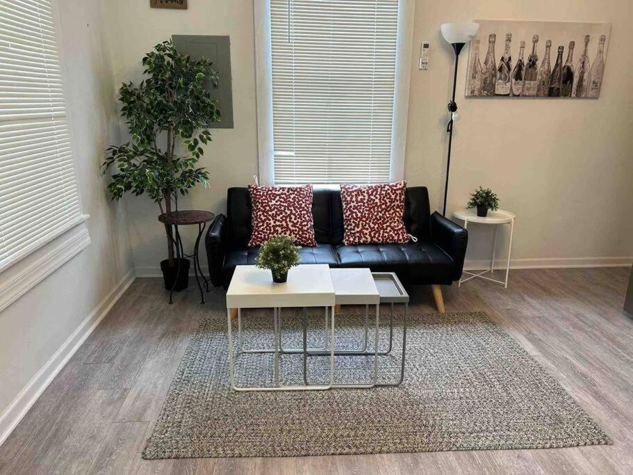 טאמפה Cozy Studio Bungalow Steps To Armature Works מראה חיצוני תמונה